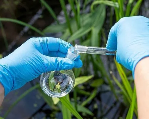 Environmental Testing Services